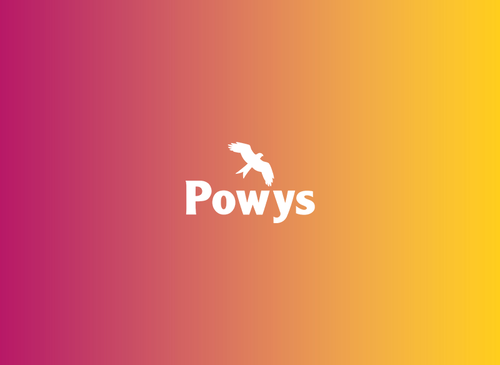 Powys Case Study